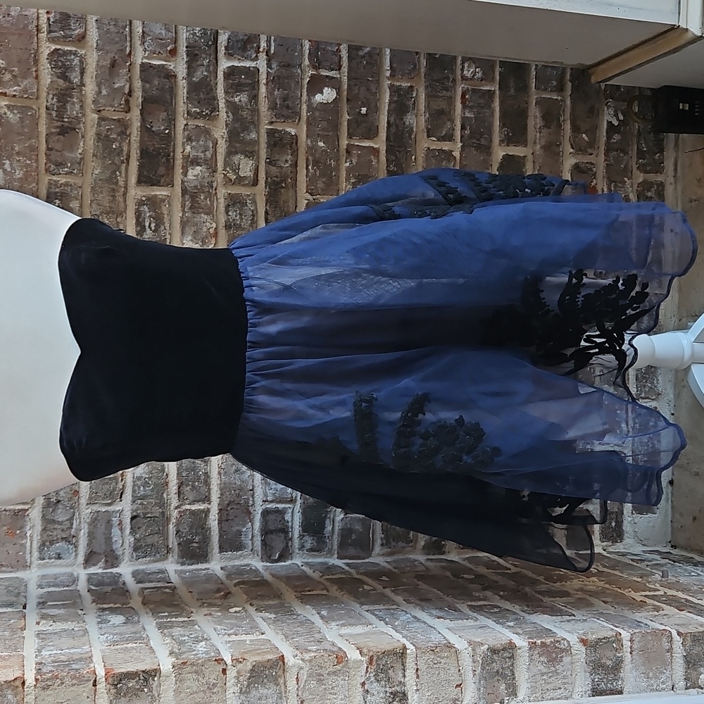 Anthropologie Floreat Embroidered 80s Retro Style Coquette Tulle Dress